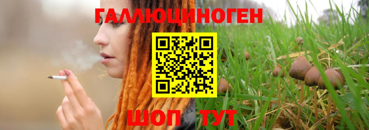 Галлюциногенные грибы прущие грибы Елец